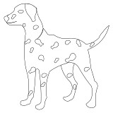 dalmation 1